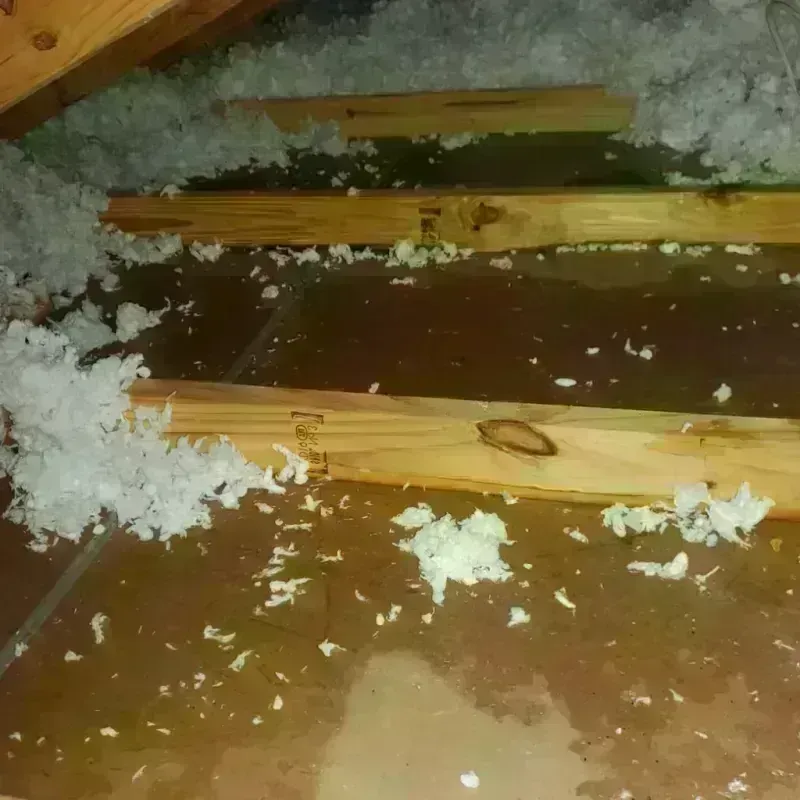 Attic Water Damage in Madisonville, KY